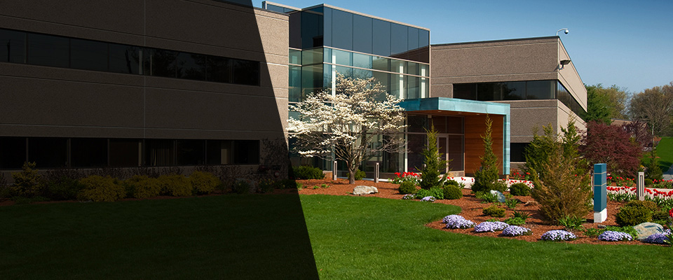 Captain Cook Landscapers