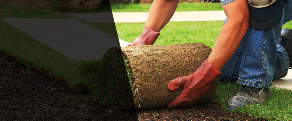 Captain Cook Landscapers